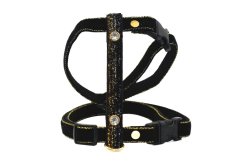 Postroj ČERNÝ SE ZLATOU