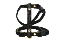 Postroj ČERNÝ SE ZLATOU