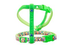 Postroj RAINBOW STRIPES