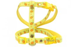 Postroj ŽLUTÝ ANANAS