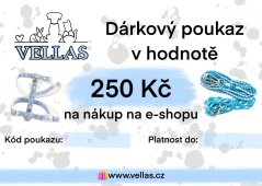 DÁRKOVÝ POUKAZ - od 250 Kč