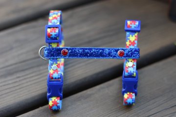 Jak vybrat správnou velikost postrojku pro králíka?