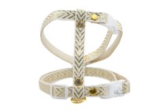 Postroj GOLDEN STRIPES