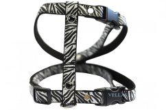 Postroj ZEBRA