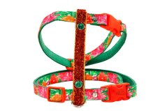 Postroj TROPICANO